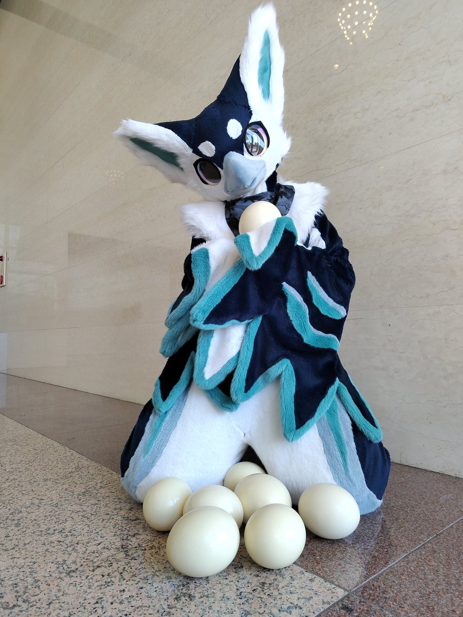 Yuki(Calluna) tweet media