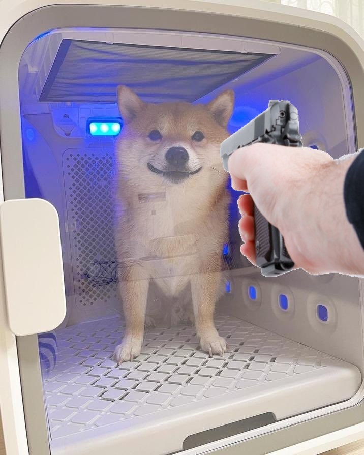 Peter (fetter Schweinehund) Pommdöner⚜️🍉 tweet media