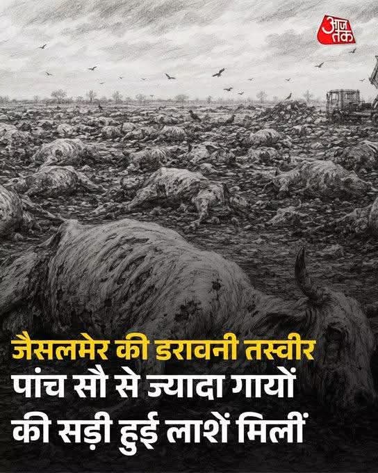 ANIL__iN's tweet photo. शर्मनाक! दर्दनाक! भयानक! 😡
करोड़ों का बजट, बड़ी-बड़ी बातें और ऑन-कागज गौ-सेवा का सच जैसलमेर के मैदानों में बिखरी इन 500+ गायों की लाशों के रूप में सामने आया है।

यह महज़ लापरवाही नहीं, आस्था और मानवता की सामूहिक हत्या है। वोटों की राजनीति चमकाने वालों, https://t.co/QGKFGWufbc