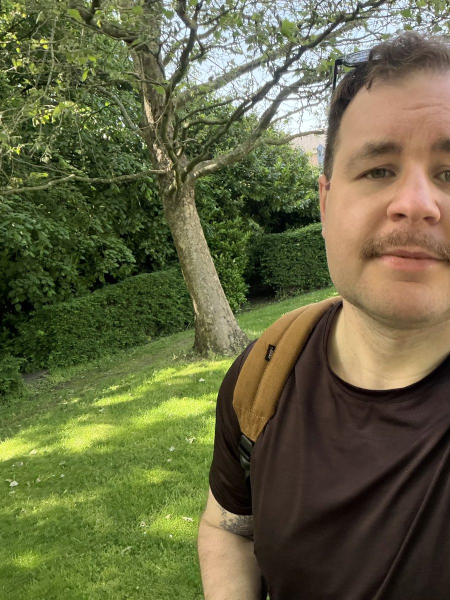 Dan tweet media