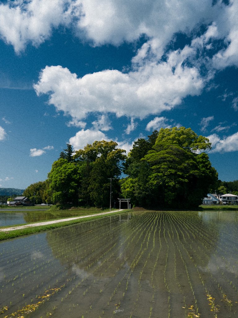 Yuto / バズる!写真編集術の著者 tweet media