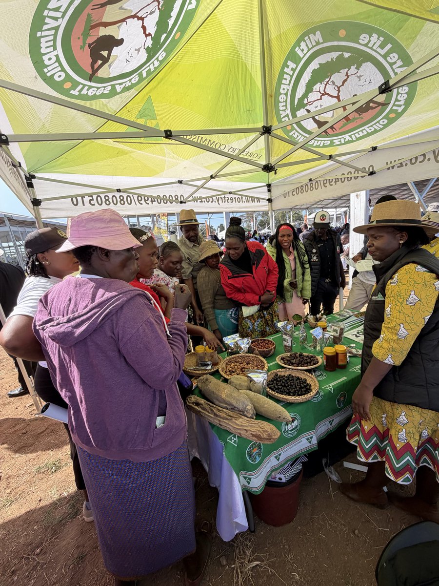 Forestry Commission Zimbabwe tweet media