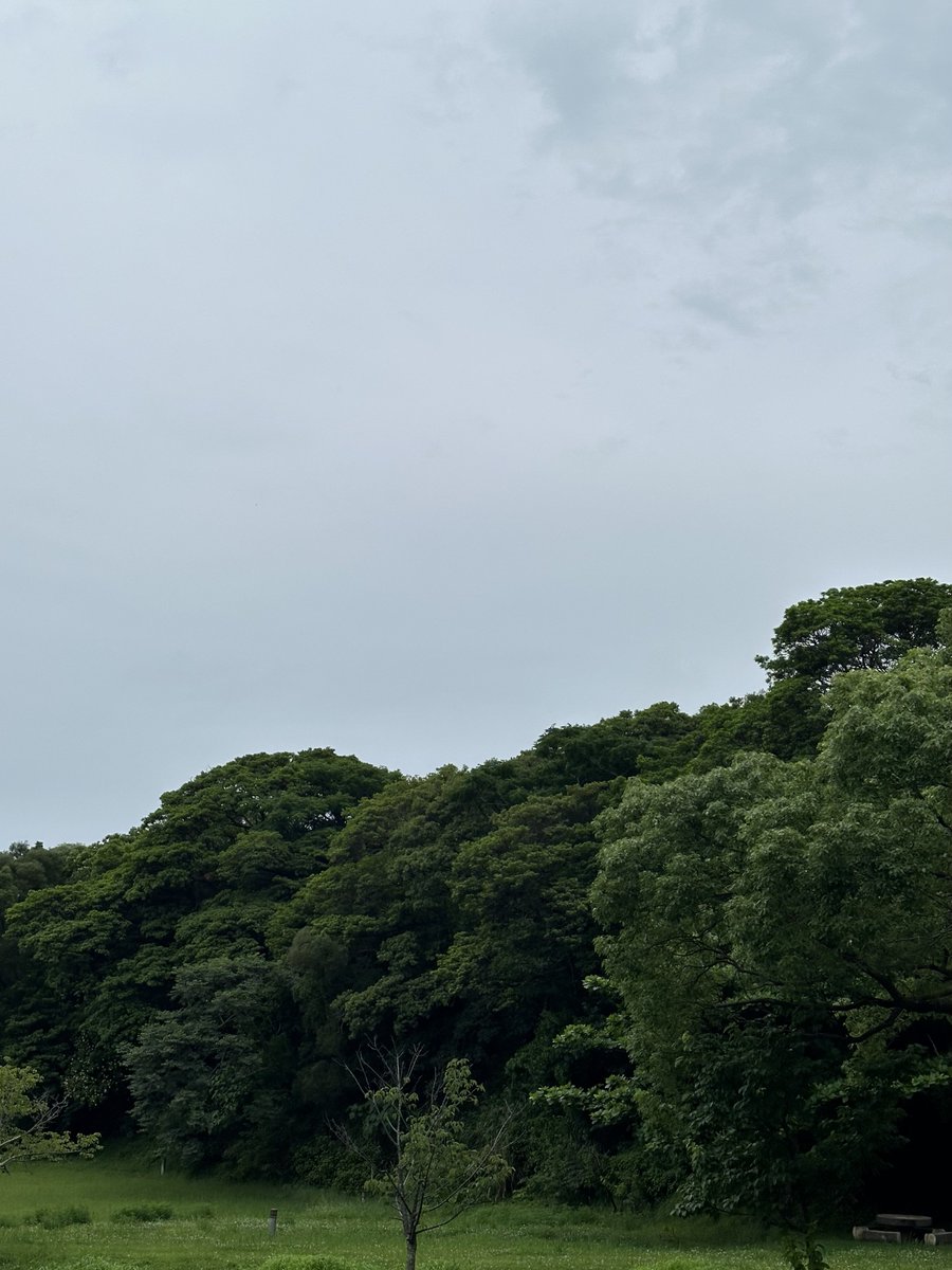 民泊シーサー今帰仁102 |沖縄・今帰仁村の観光情報🏝️ tweet media