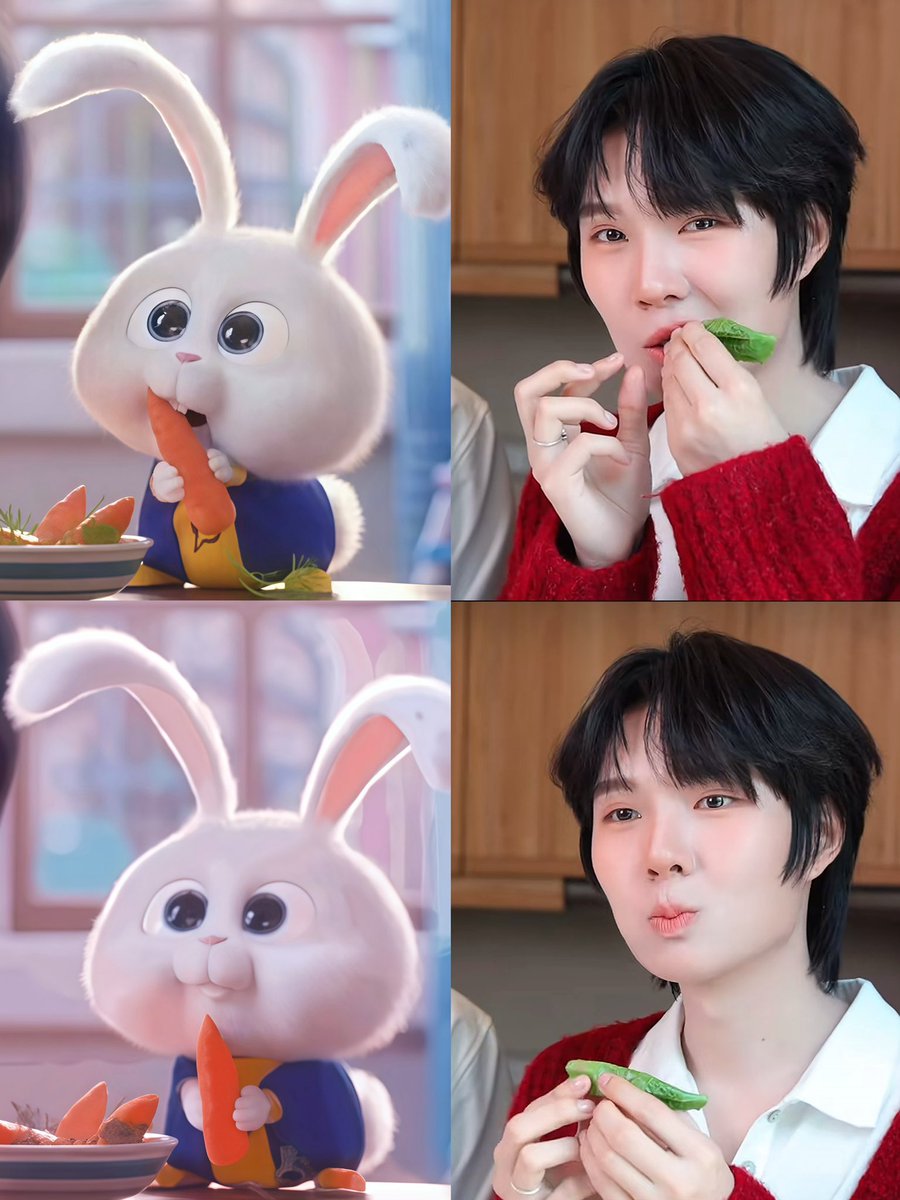 ชูชู ૮꒰ ᵕ ༝ ᵕ ꒱ა 𐙚 tweet media