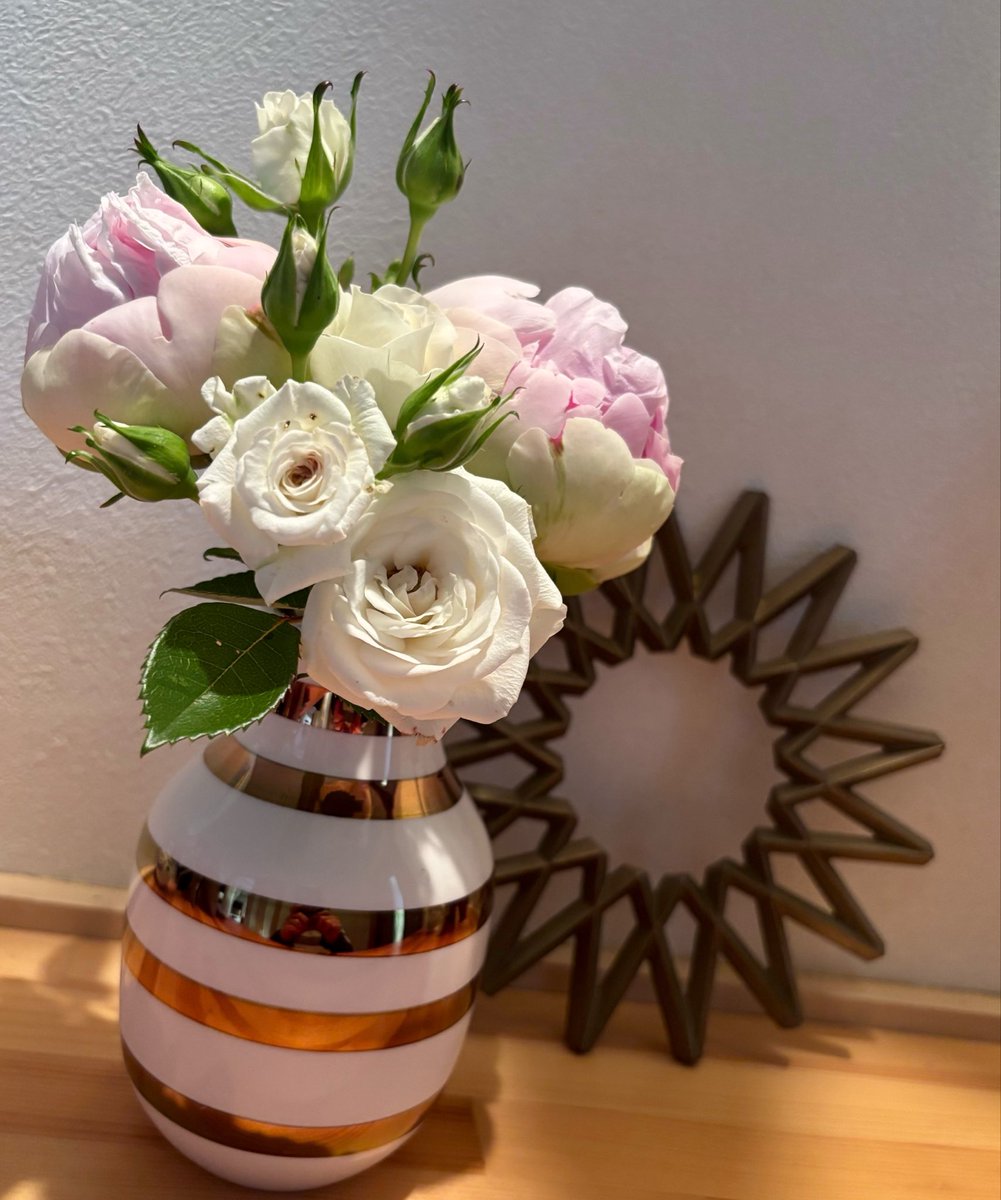 kim_tamako's tweet photo. ねえ見て？もりもりに詰め込んだ私が育てた(植えてほっとくだけ)芍薬と白バラを

#KAHLER
#FUTAGAMI https://t.co/umRtF8ersg