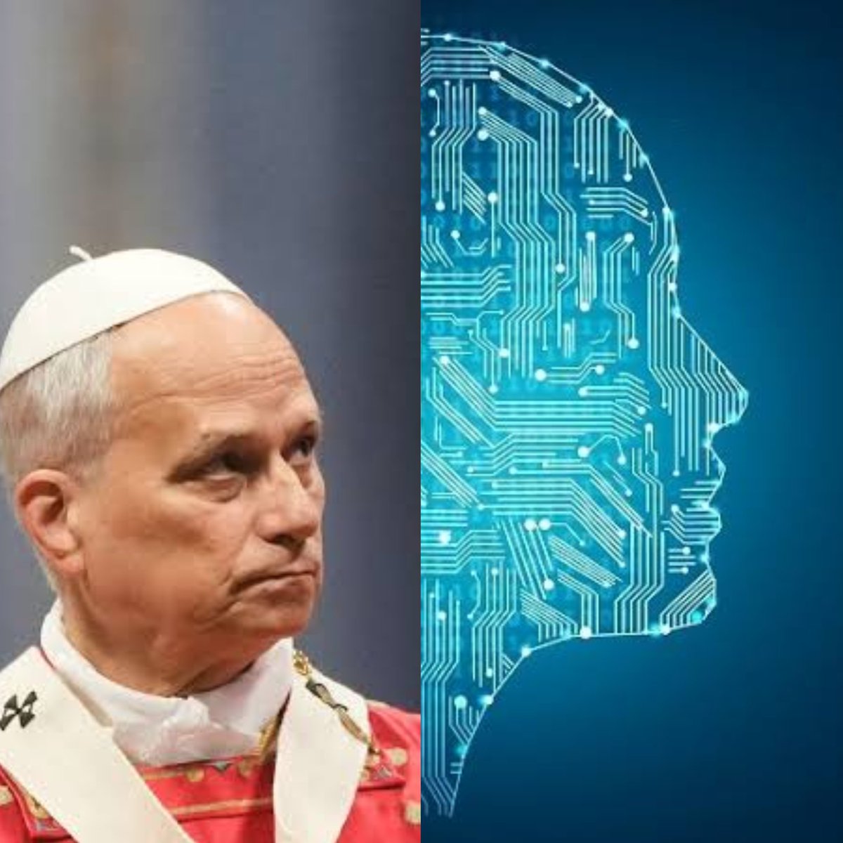 Catholic Arena tweet media