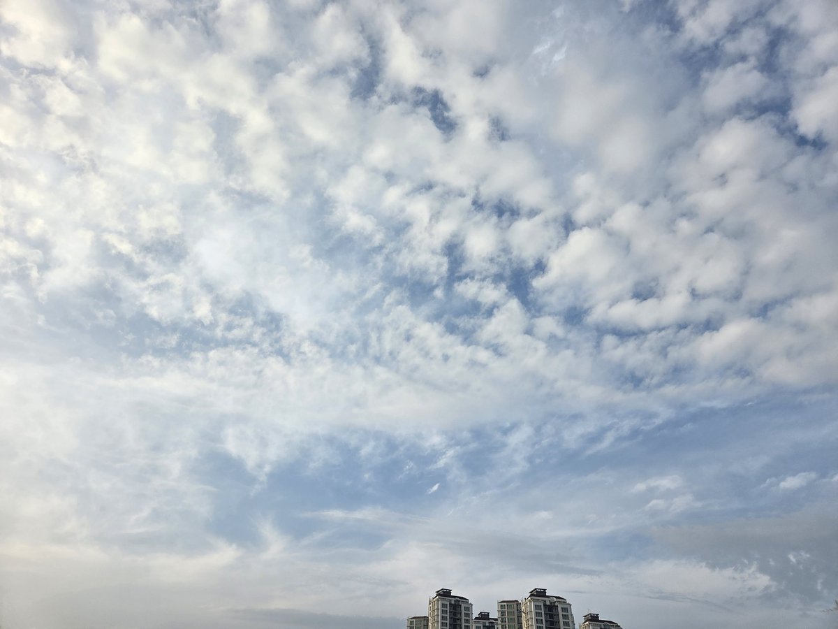 엘린L_in tweet media