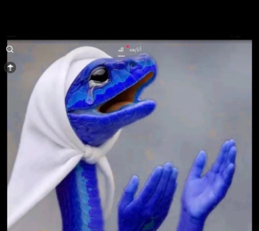 عندليب النصر & ماجد tweet media