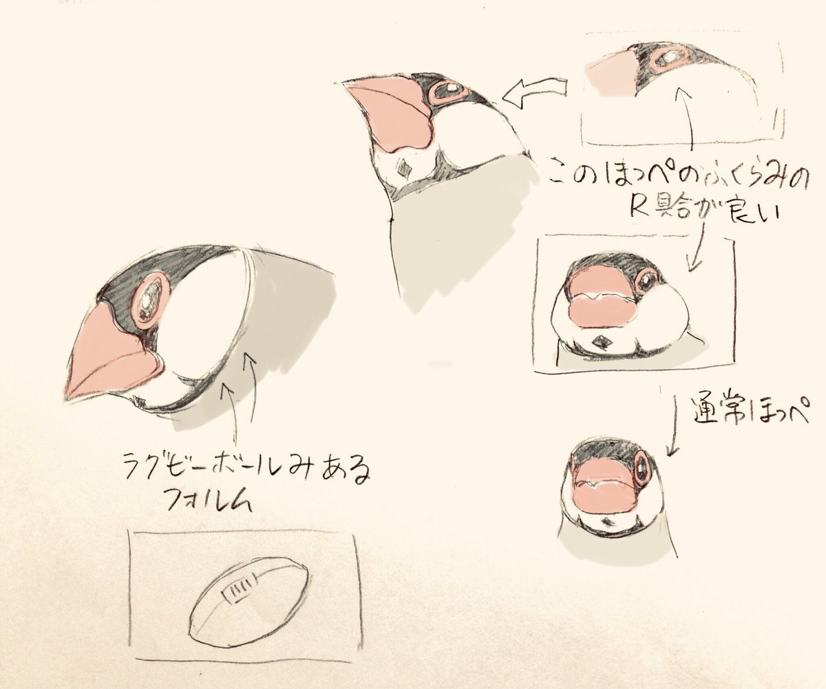 『ピとポとまちながら』第7話作業前のウォーミングアップ
見てて飽きない文鳥の造形その他 