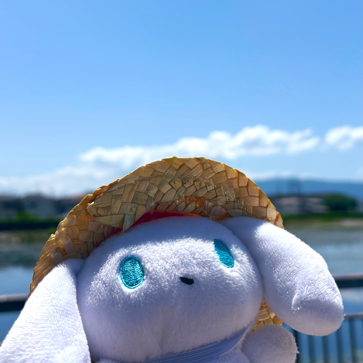 ca_de_colat's tweet photo. 暑い、真夏日☀️👒
#アイシナモロール #ぬい活 #ぬい撮り
#麦わら帽子 https://t.co/lY9SBVLj75