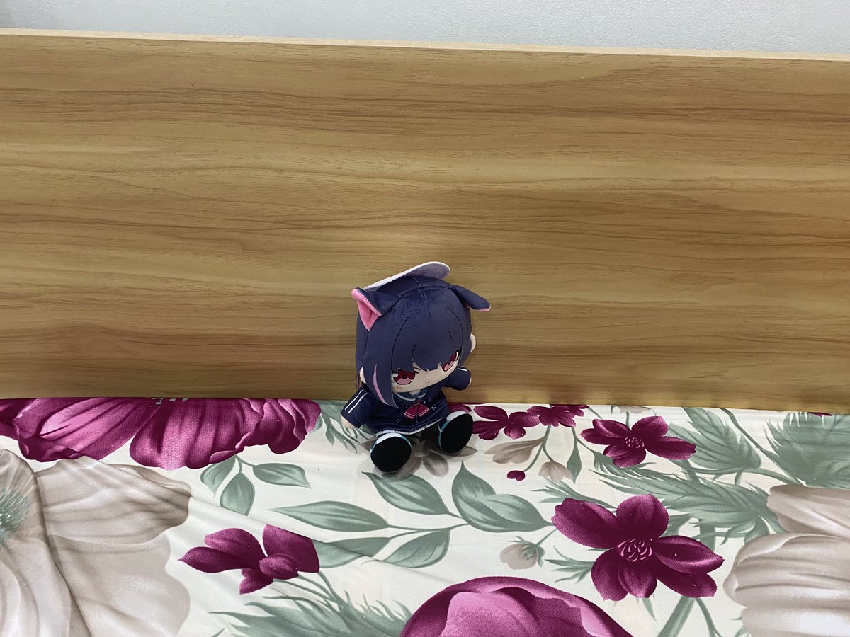 Sakurono tweet media