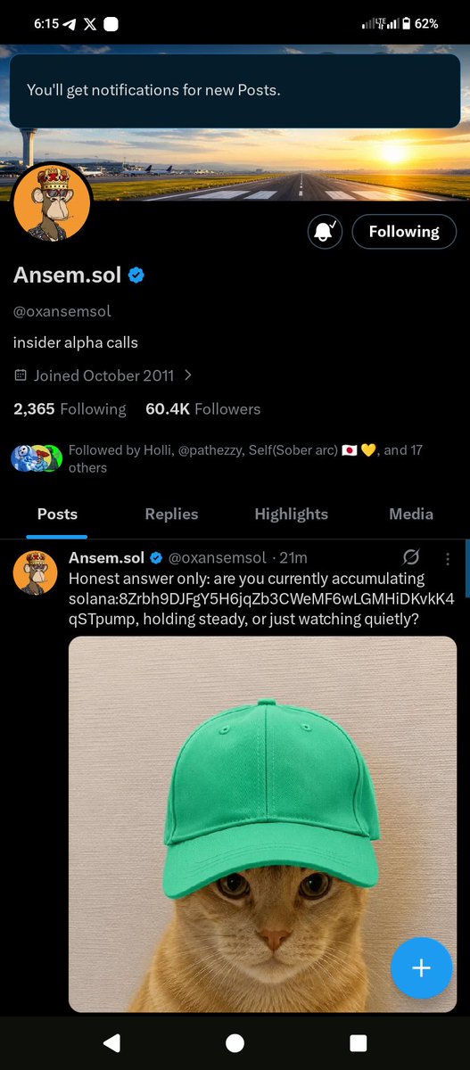zabeth tweet media