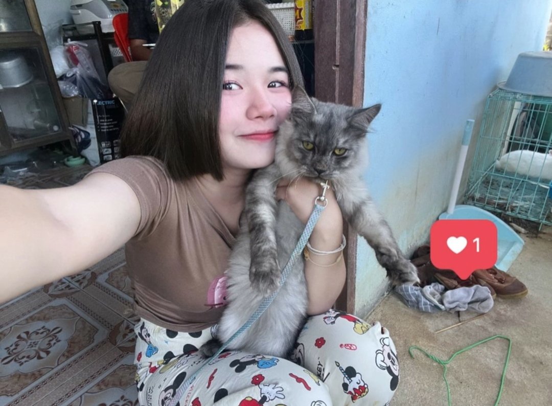 น้ำหวาน🖤 tweet media