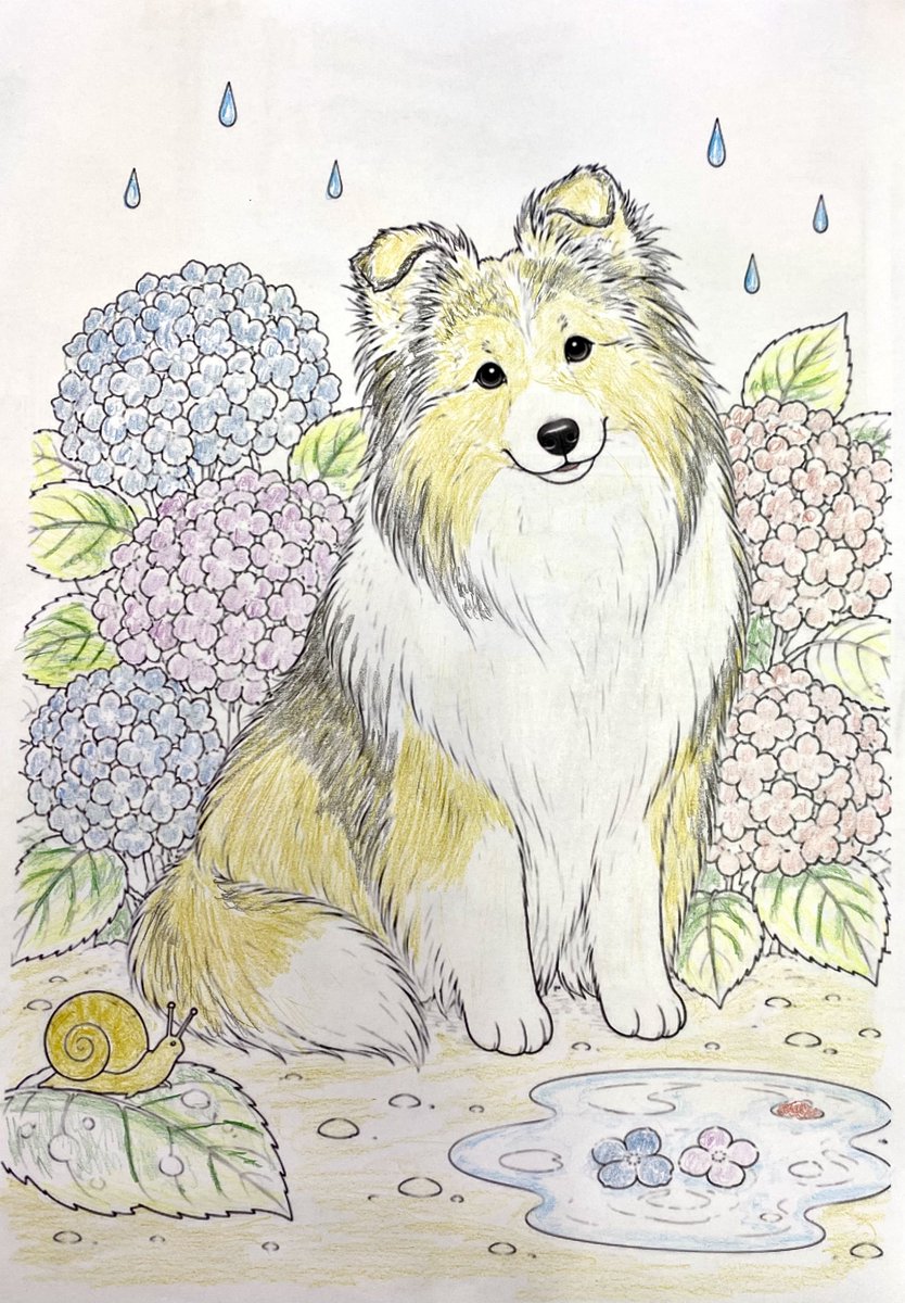 inuinuinusuke's tweet photo. あまりに塗り絵の完成が早い方がいるので、あまり詳しくないのですがAIで塗り絵を作成し、入居者の方に塗っていただきました…
かわいい…
しかし雨の日にシェルティを…直座りで…😱 https://t.co/97RkSuO5s2