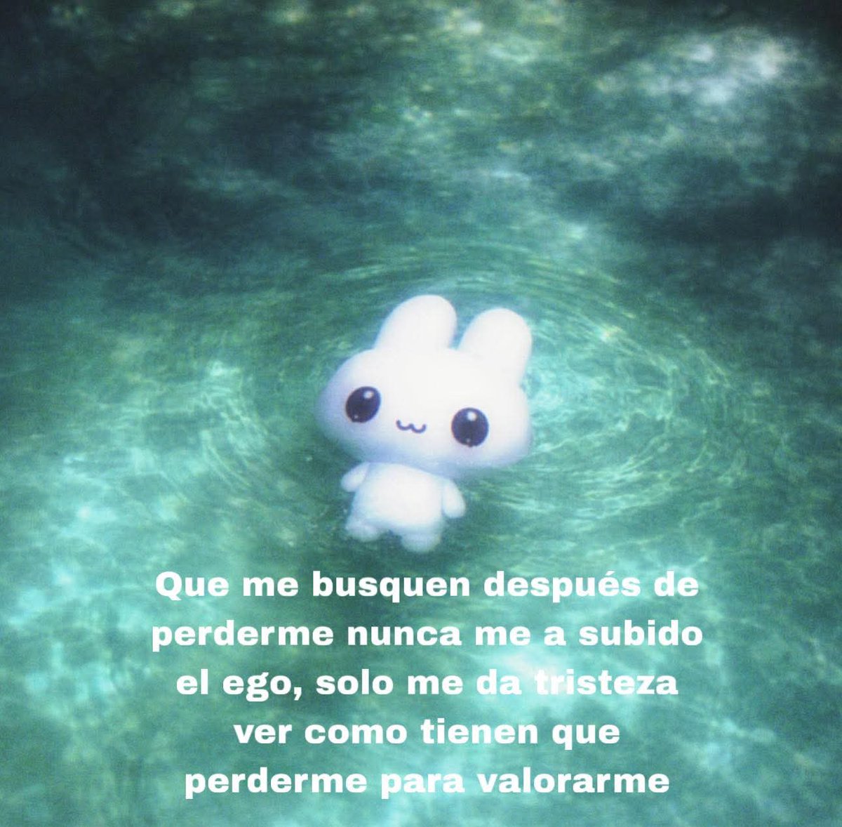 𑣲࣪ ִֶָ✦࣪ ִֶָ☾⭑࣪ ִֶ𖹭 tweet media