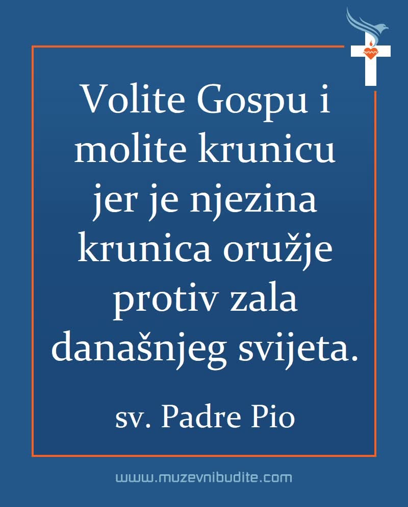 Slaven F62.0 zds dz tweet media