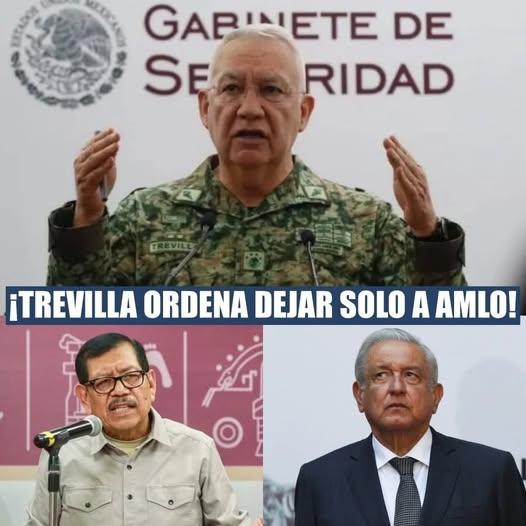 constanza luna tweet media