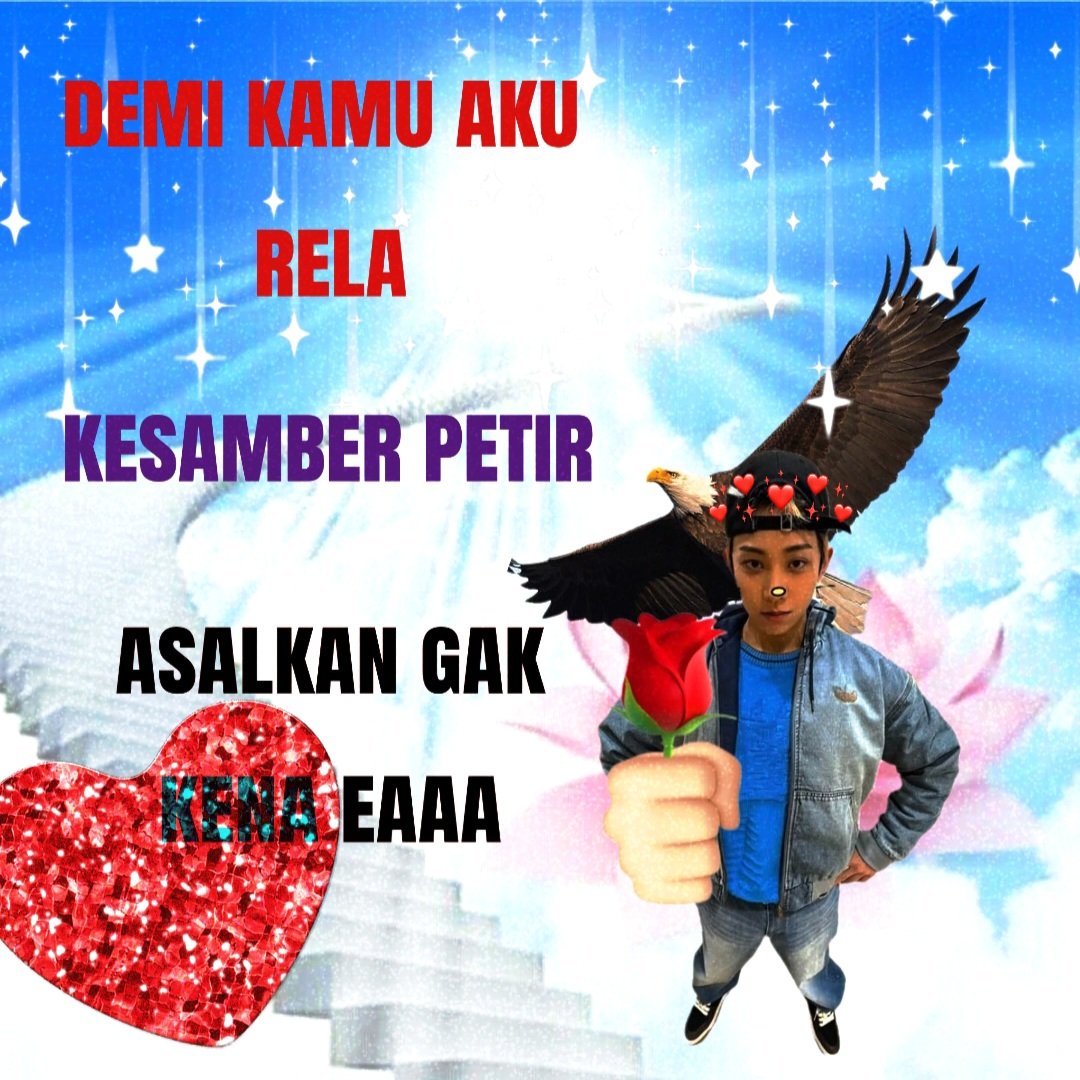 ra˚꩜˙𝄞₊˚𔒌 tweet media