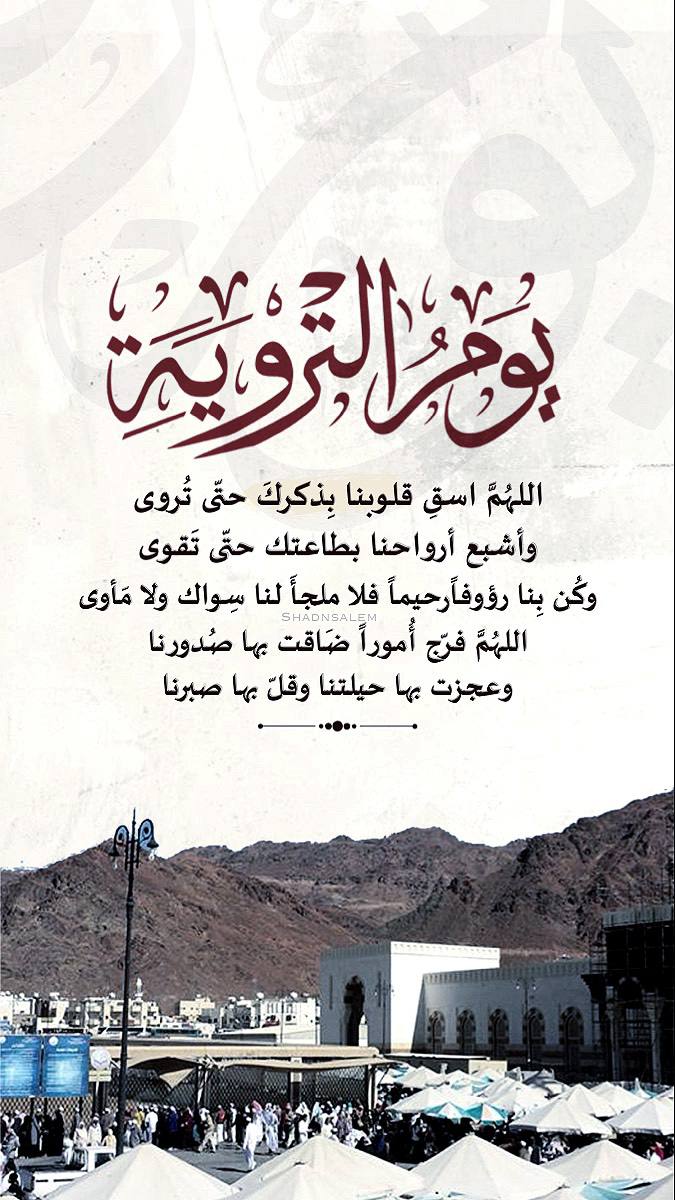 أ/زايده حقوي.. (كاتبة /إعلامية) tweet media