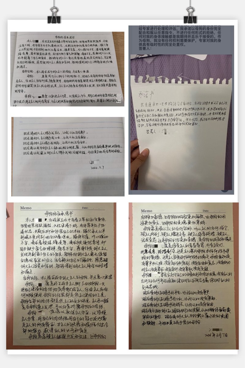 HUDAS羞辱实验室 tweet media