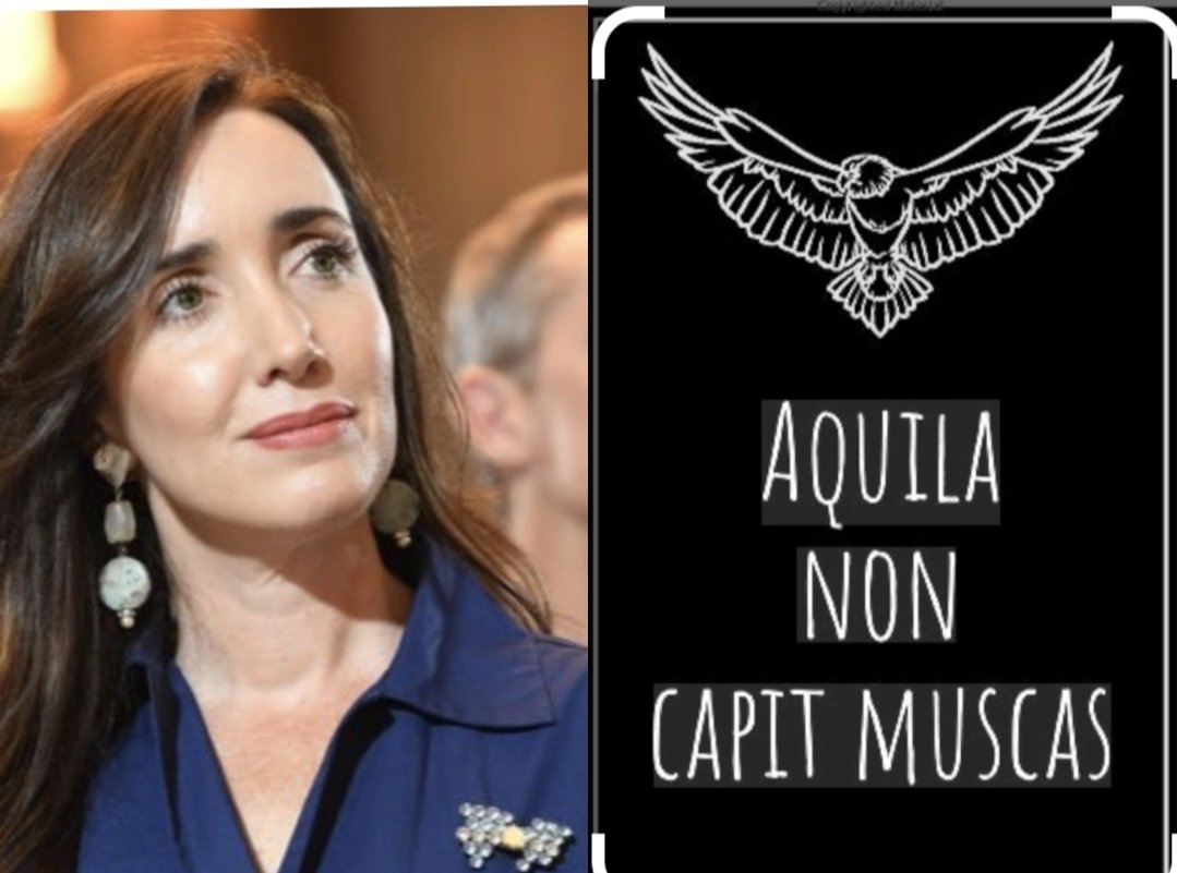 Silvina Persia Moliné tweet media