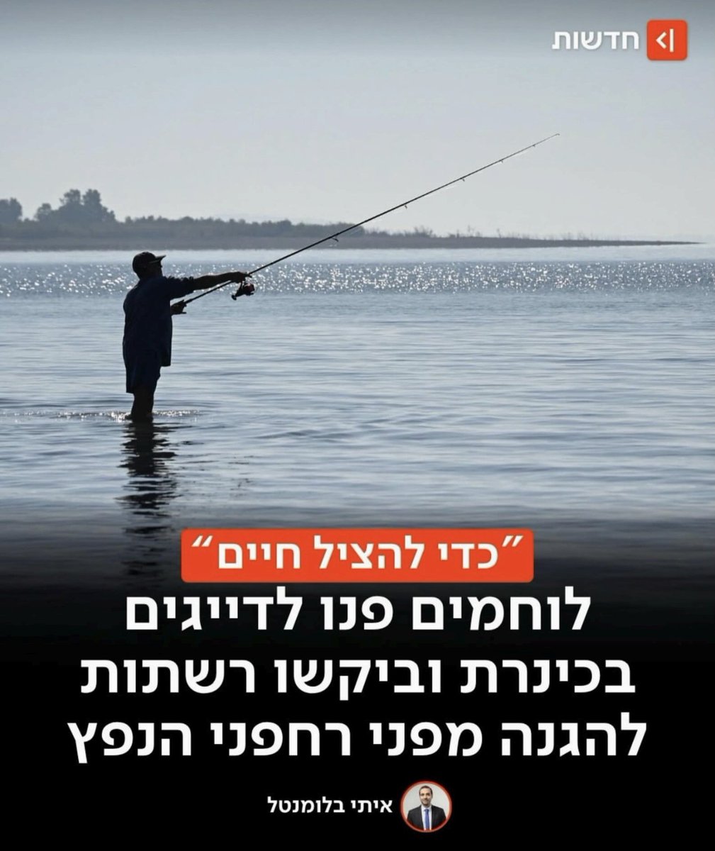 הדרקון tweet media