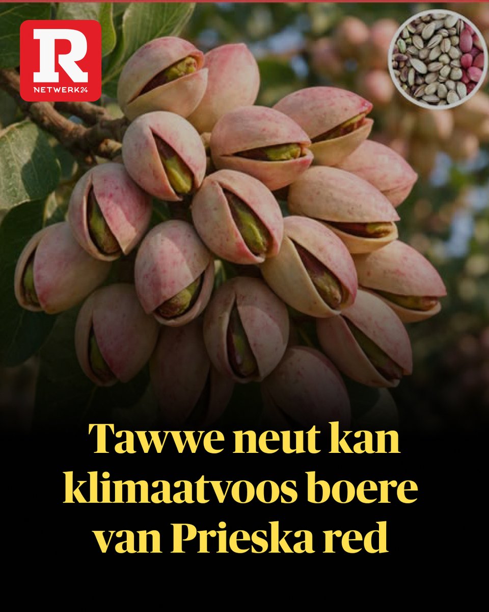 Rapport tweet media