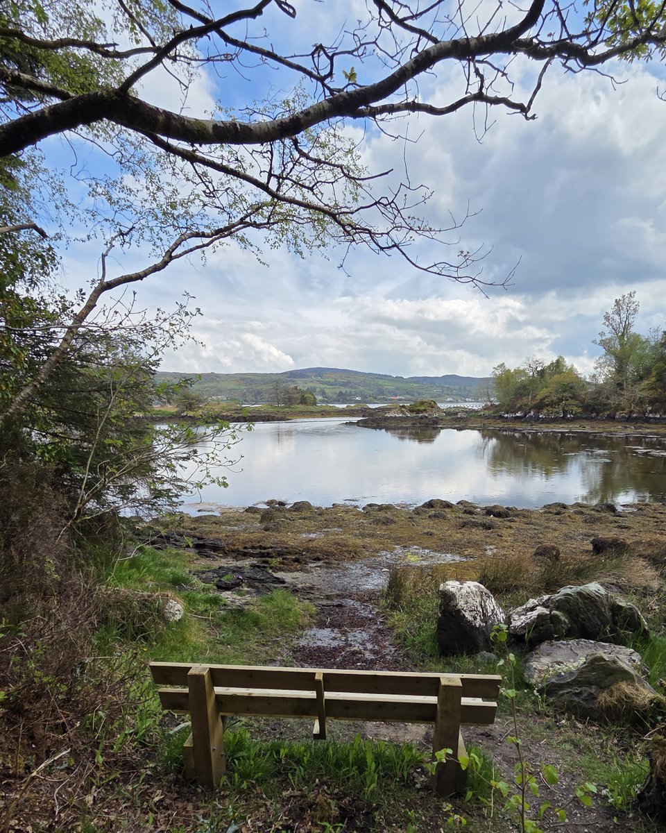 Inish View tweet media