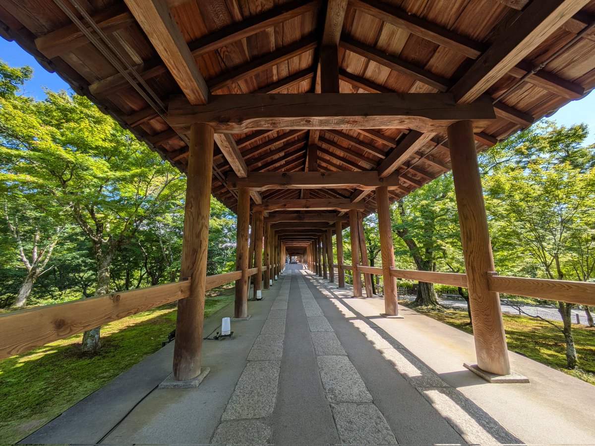 ketakan's tweet photo. 画になる京都、31℃！ https://t.co/c70R7FXdOe
