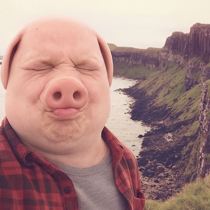 John Pork tweet media