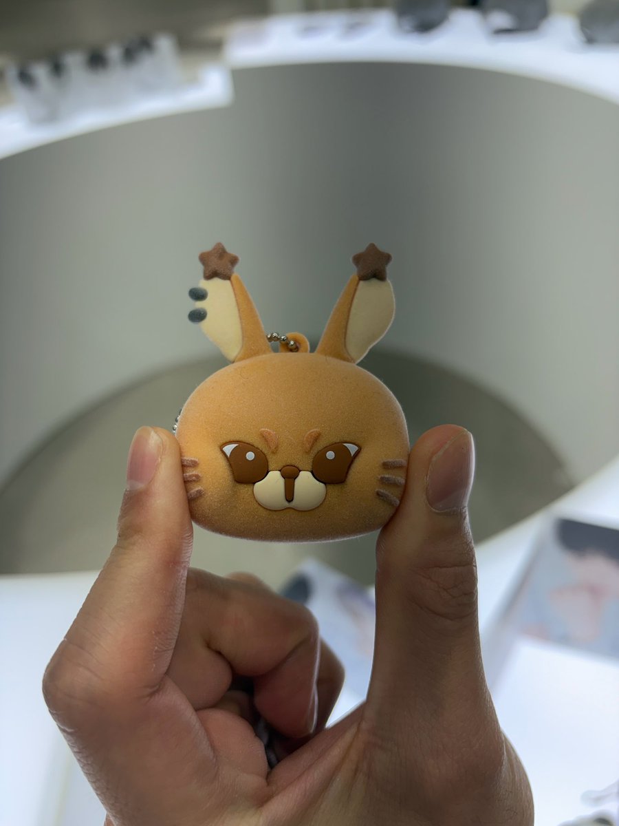 DEARJR. tweet media