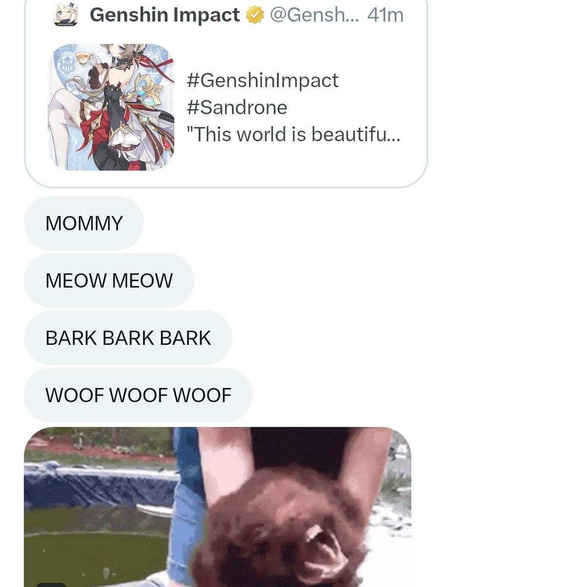 wiwa! 🩷 Genshin WuWa HSR ZZZ joki pilot tweet media