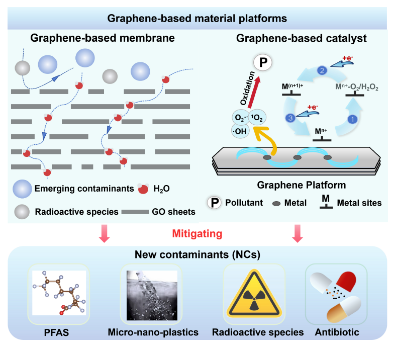 NEWCommunityNEW's tweet photo. A new review in New Contaminants highlights graphene-based platforms for tackling PFAS, micro/nanoplastics, antibiotics, and radioactive species. 

#Graphene #WaterTreatment #PFAS #Microplastics #NewContaminants

Read more:
https://t.co/r5GkNIa32L https://t.co/hgnUJywxzh