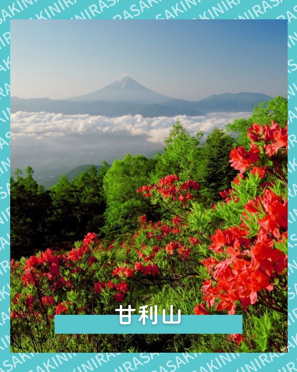 nirafuru's tweet photo. 山梨百名山のひとつ『甘利山』

標高約1731.4mの山ですが、山頂まで徒歩約30分の場所に駐車場があるため、
富士山や甲府盆地の絶景・季節の花々を楽しみながら、気軽にハイキングができるスポットです！

#山梨県韮崎市 #ふるさと納税 #甘利山 #ハイキング https://t.co/tPOTXNQqIm