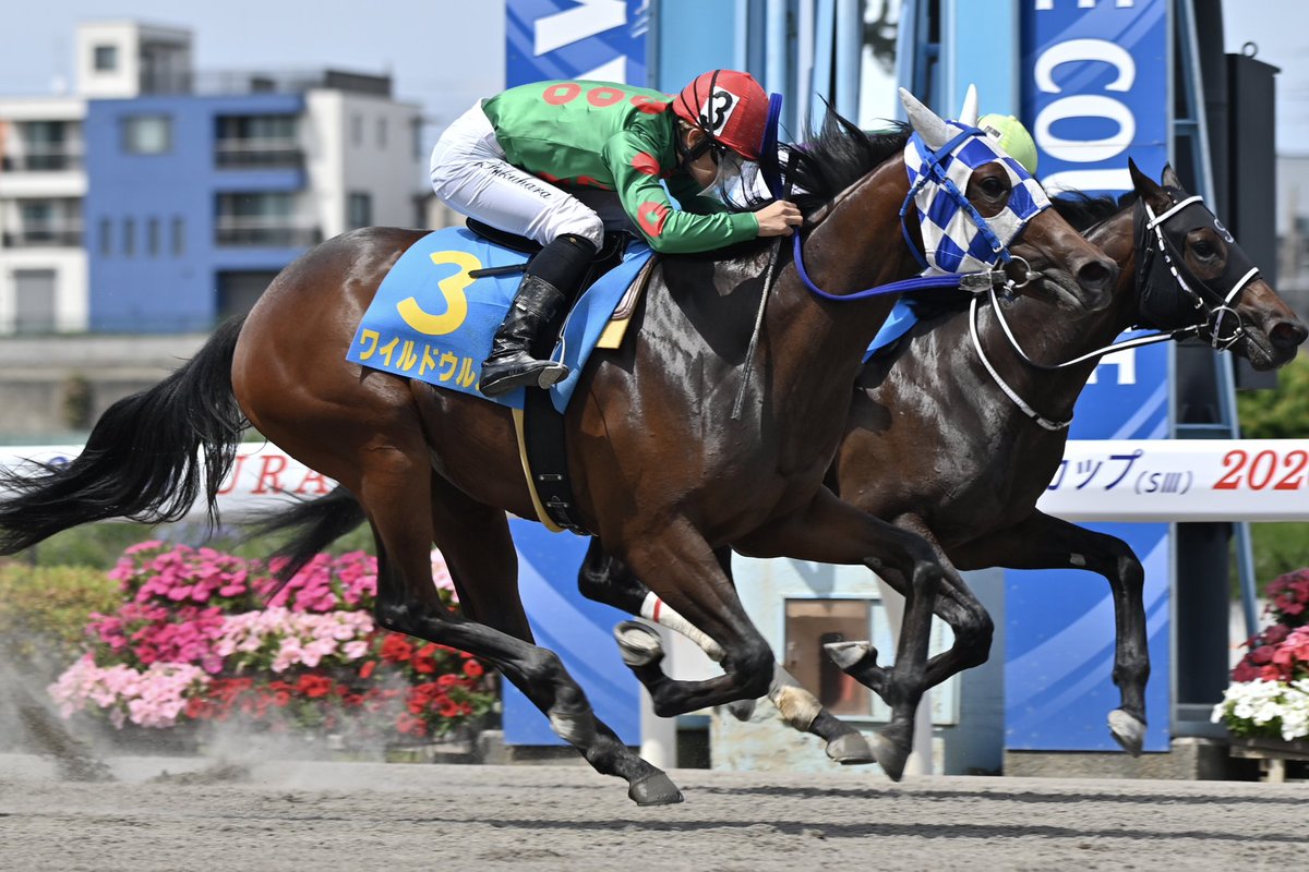 浦和競馬 tweet media