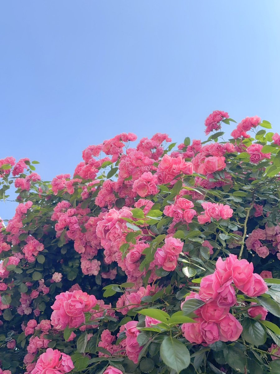 띠삐 ໒꒱‧₊ tweet media