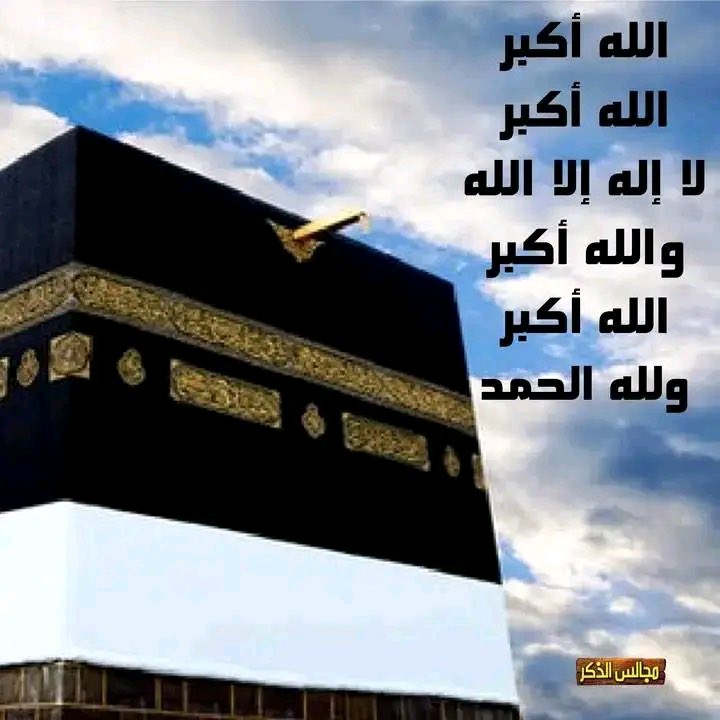ام دانه ❤️ tweet media