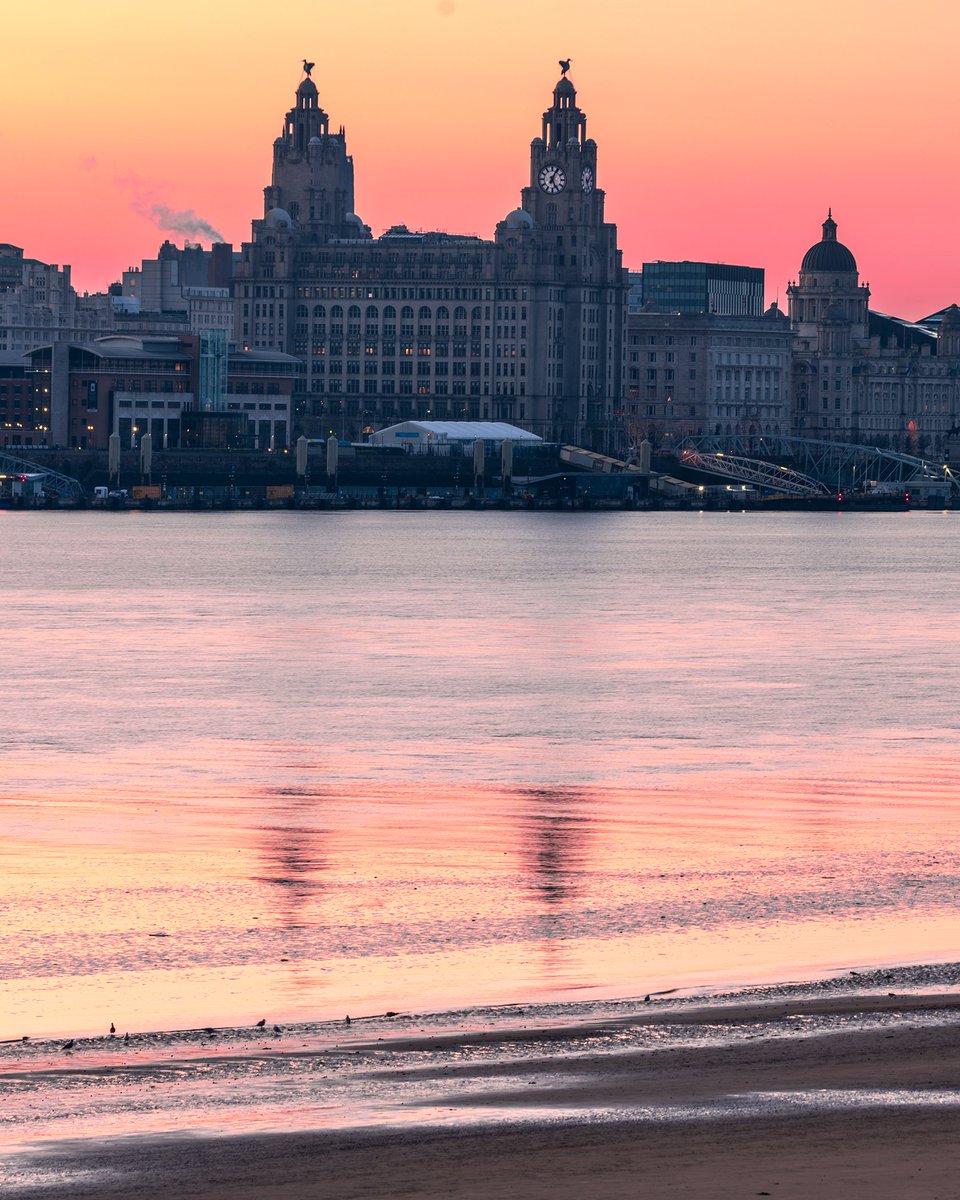 Liverpool Vista tweet media