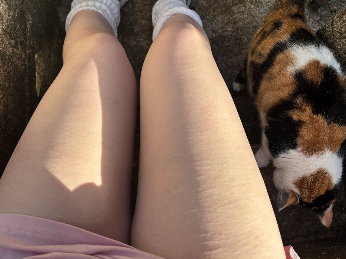 girlnthewoods's tweet photo. meow https://t.co/6VqncFRuYr