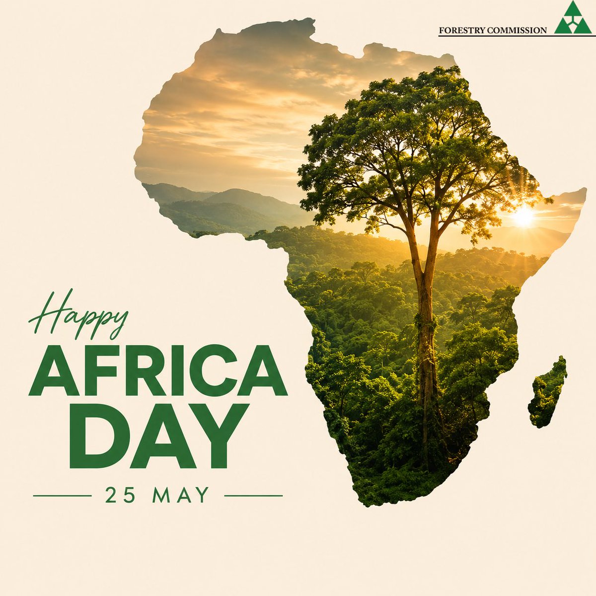 Forestry Commission Zimbabwe tweet media