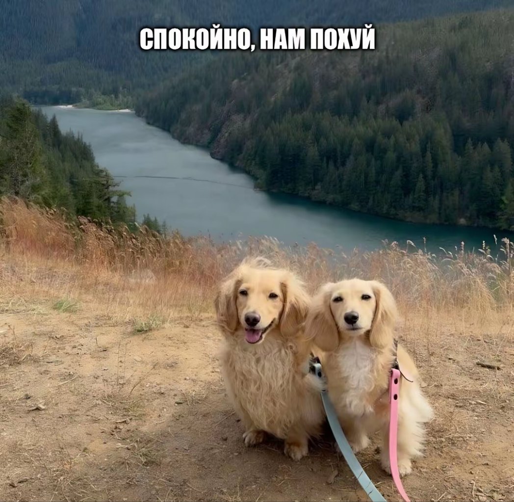 rinoun tweet media