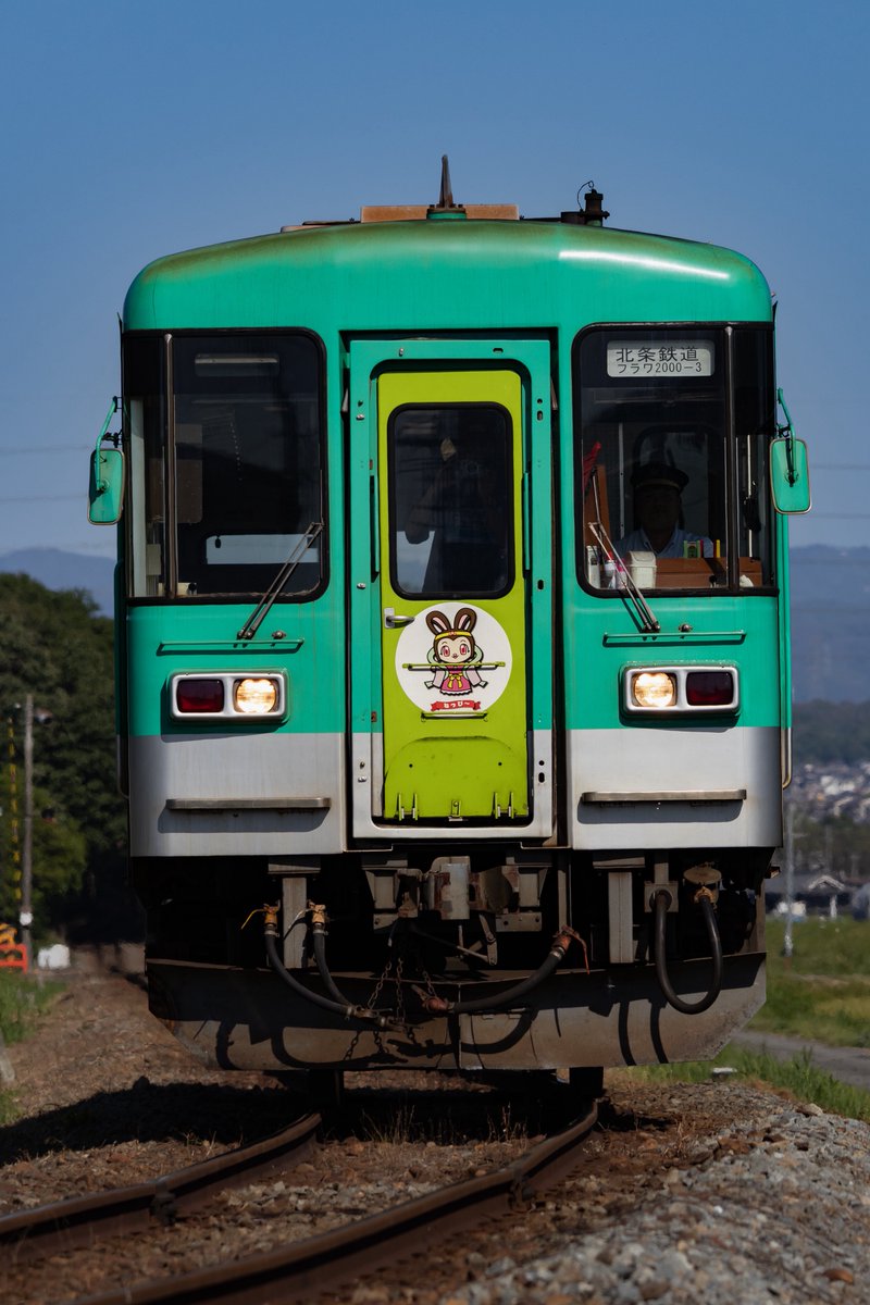 お米 tweet media