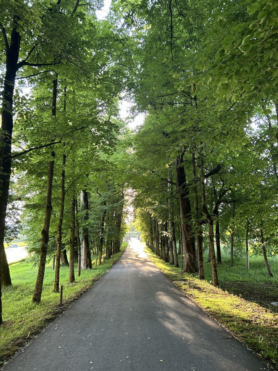 boys_nicholas's tweet photo. You don’t need buildings to turn a road into a street https://t.co/Uwj1z6CMUR
