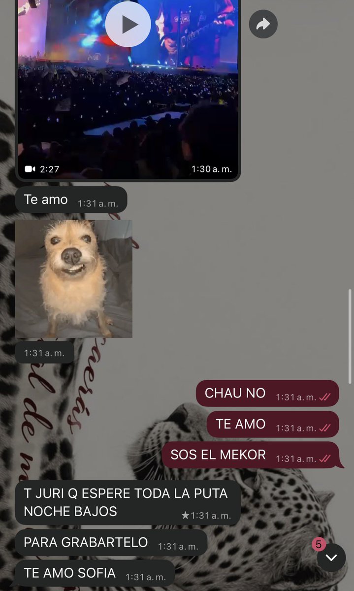Sofia escucho Sube Sube en vivo💀 tweet media