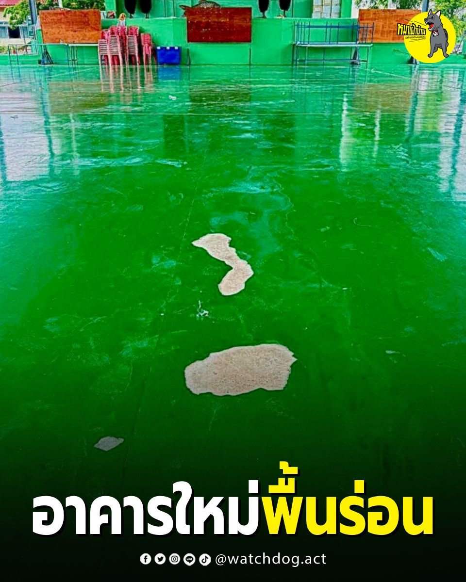 WatchdogAct's tweet photo. อาคารใหม่พื้นร่อน :: https://t.co/hvq2DA98Wh https://t.co/UQH5v3yMob