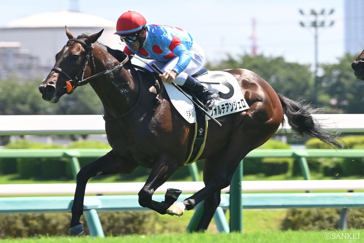 ヤエケン🐎💨 tweet media