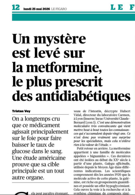 done39891907's tweet photo. @DrMaeker ☝️#étude  #diabète #metformine 🧐 je dois dire qu'il est bien infecte, vertiges, et tout simplement envie de mourir, donc j'ai vite arrêté, 😱 mon frère le supporte bien, je préfère marcher 1h par jour ...😎 https://t.co/LQp4mki6YK