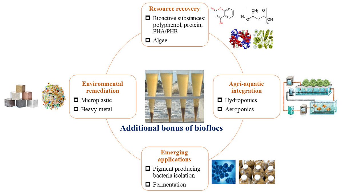 Fishes_MDPI's tweet photo. 🐟#HighlyCited paper in #Fishes!

#Multifunctional Applications of Biofloc Technology (#BFT) in Sustainable #Aquaculture: A Review
👉https://t.co/1mSrTowncP

💦#biofloctechnology #resourcerecovery #environmentalremediation https://t.co/ToMQOd41UH