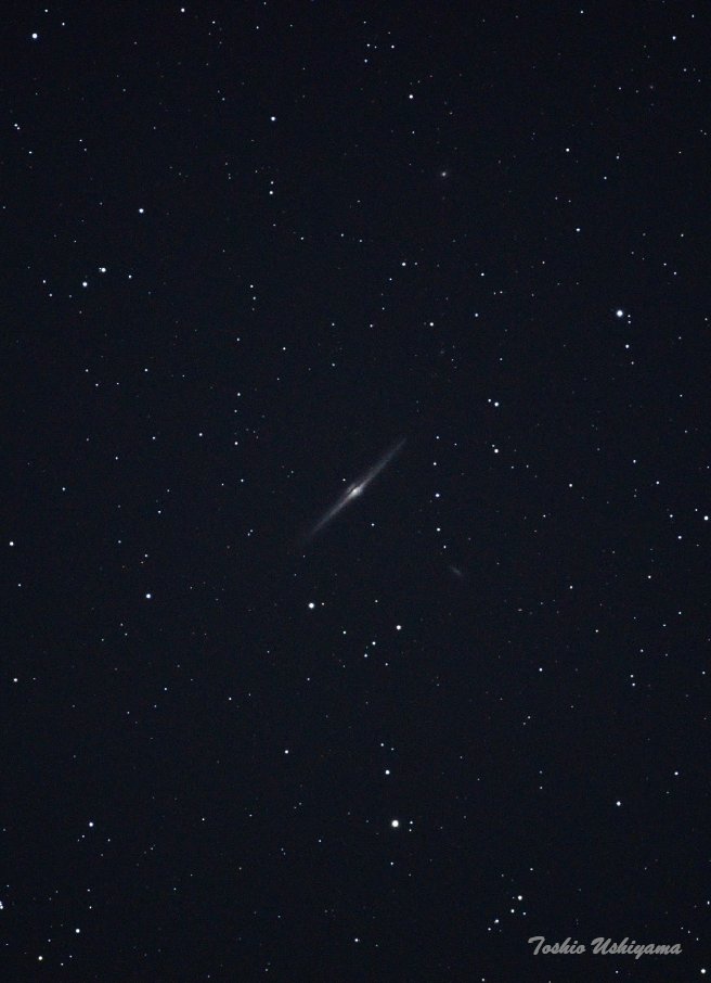 tenmonguide's tweet photo. 春の星座の一つかみのけ座。

天の川から遠く離れた銀河の北極に位置しており、宇宙の覗き窓とも呼ばれている領域です。

この一角に点在するかみのけ座Ⅰ群と呼ばれる銀河群のなかに、銀河系を真横から見たモデルとして有名な系外銀河NGC4565があります。

漆黒の宇宙空間に浮かぶ姿は実に神秘的です。

撮影者：牛山俊男