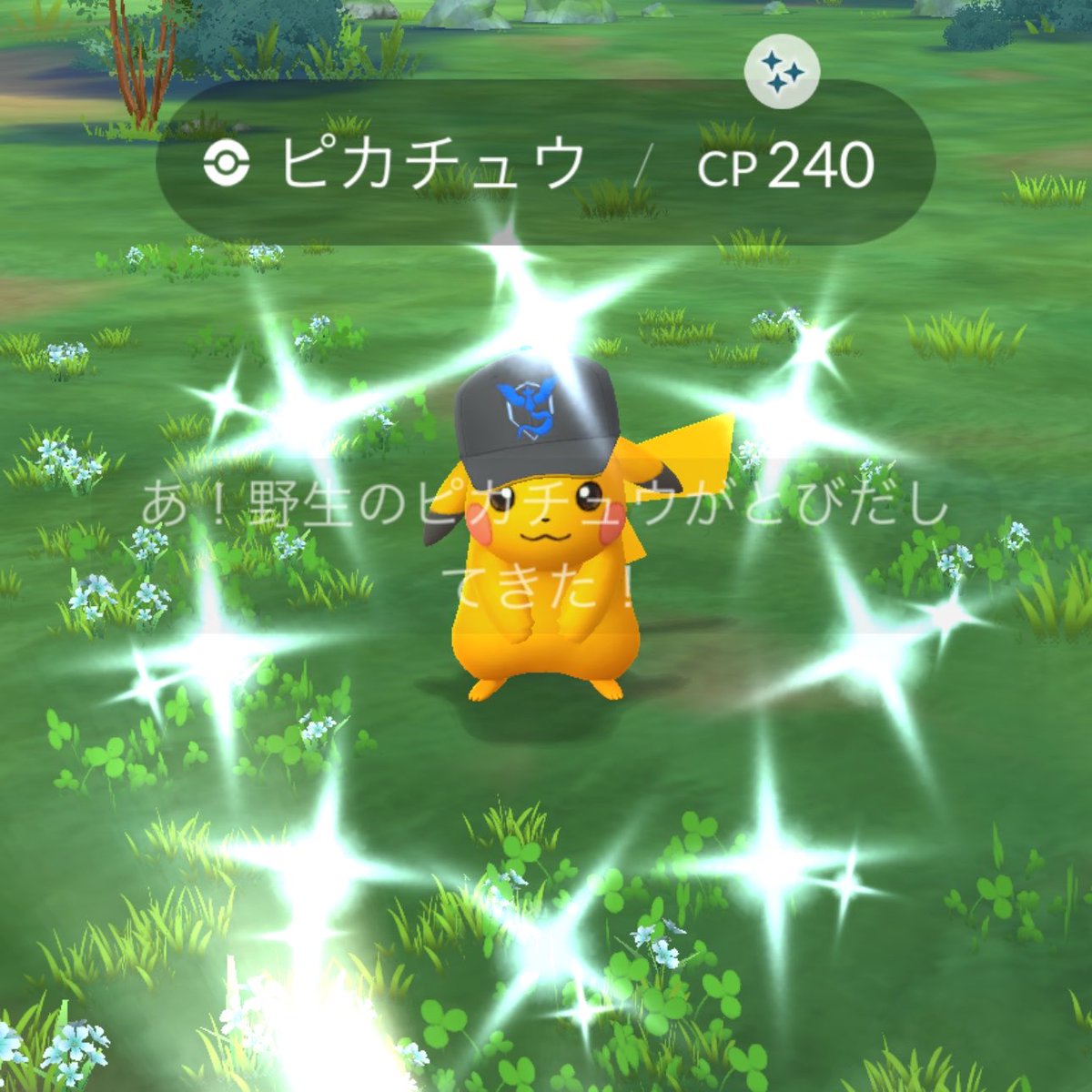 ブースター@you tweet media